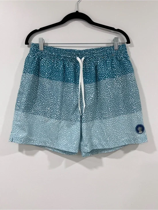 Chubbies The Whale Shark Swim Trunks
