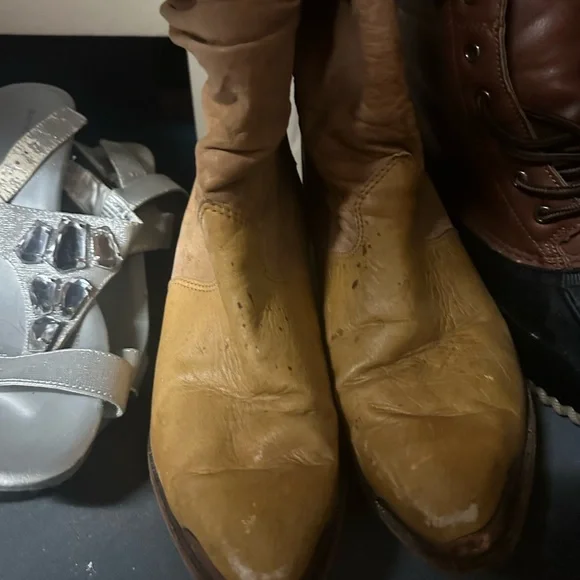 Zodiac Brown Leather Ankle Boots‎