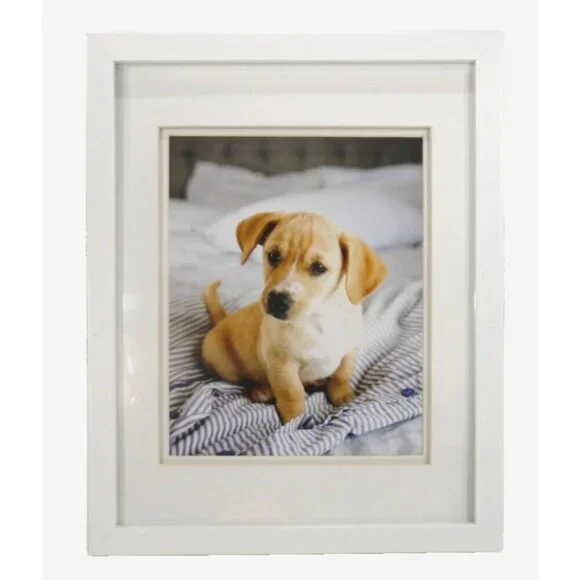 NIELSEN BAINBRIDGE white 8x10