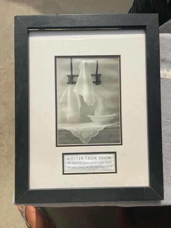Framed 'Whiter Than Snow' Wall Art - Black Frame