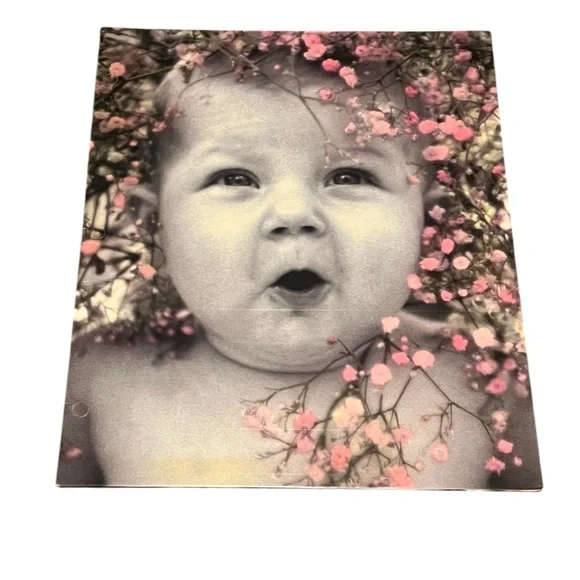 Baby Portrait Canvas with Pink Floral Accents Background Folder Vintage New