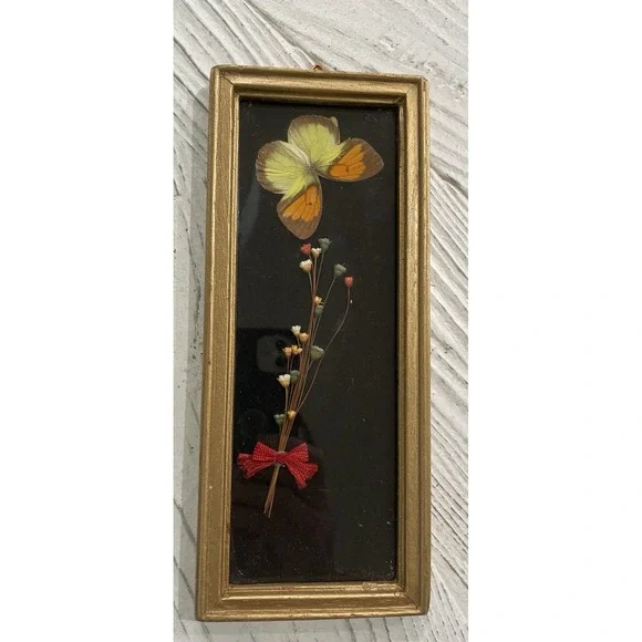 Vtg MCM Framed Dried Flowers‎ and Butterfly Specimen  4x9