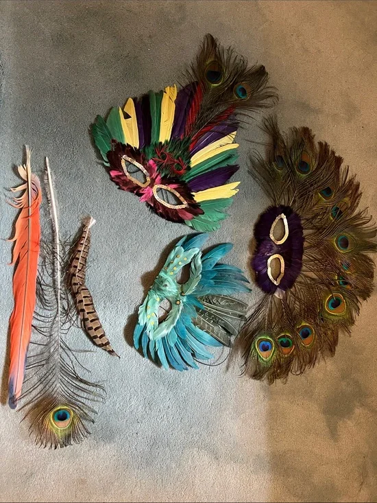 Feather Mardi Gras Mask Lot 3pc Masquerade Ball Colorful Peacock Plumes Set