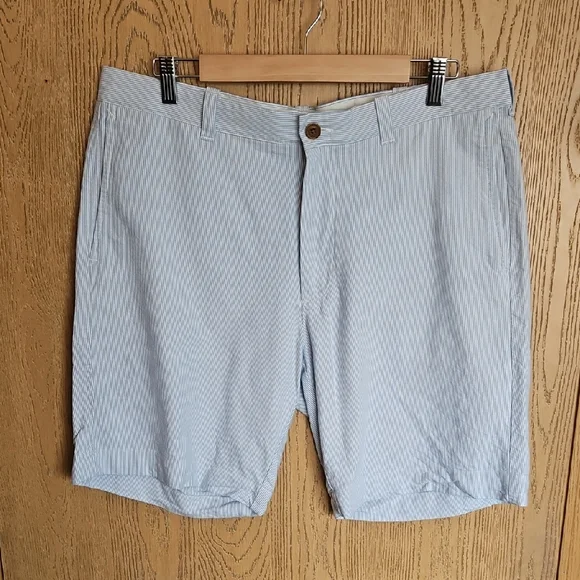 J. Crew Men's Blue Pinstripe Shorts
