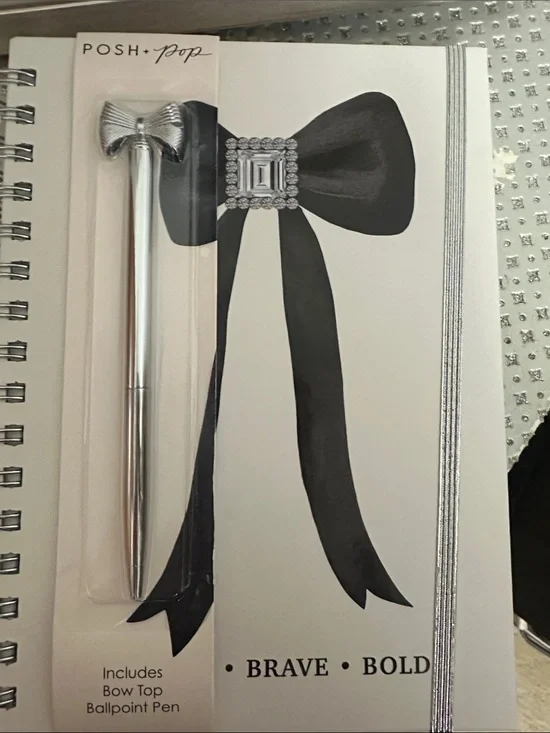 Posh + Pop Bow Top Silver Ballpoint Pen and Journal