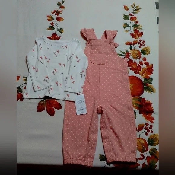 NWT Carter's pink overalls and shirt set