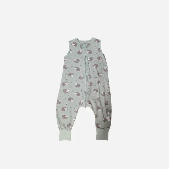 Adorable‎ Hedgehog Print Kids Pajamas