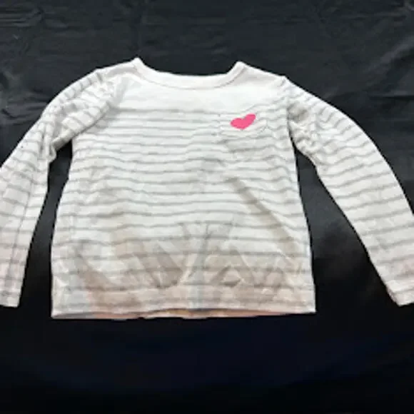 Carter’s‎ Girls Shirt 4T White Grey Pink Long Sleeve EUC