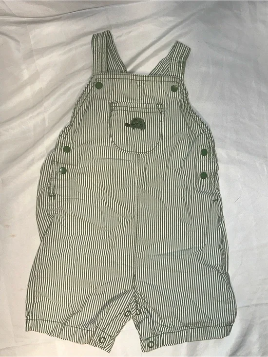Carter's Green and White Striped Overalls