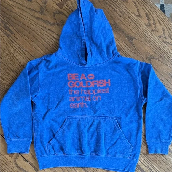 Kids Blue Hoodie Print 