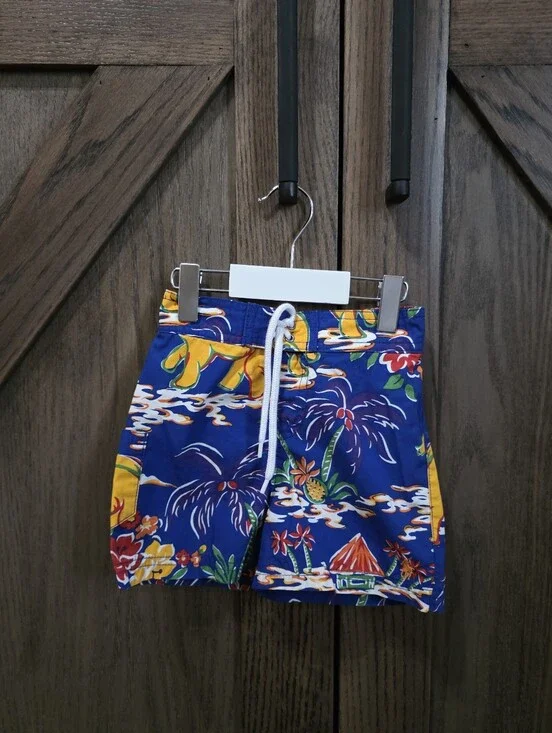 Polo by Ralph Lauren Blue Multicolor Kids Swim Trunks