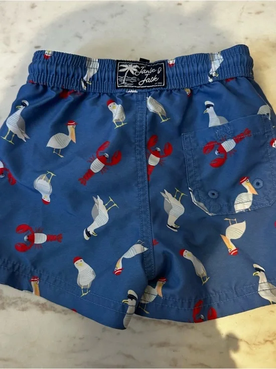Janie And Jack Swimsuit Swim Trunks Swimming Size 12-18 Months