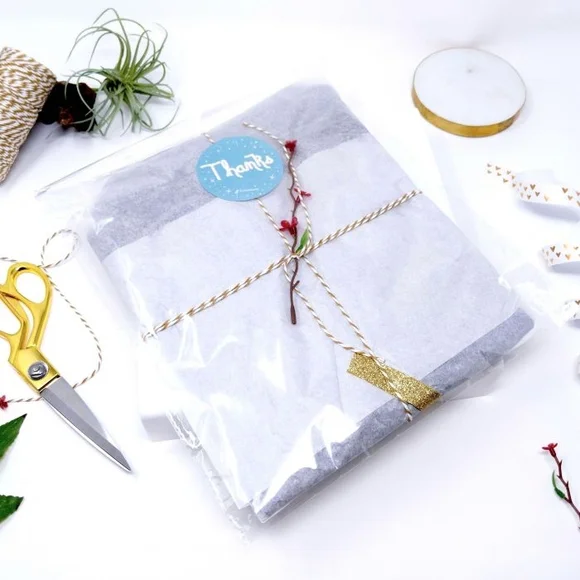 Clear Plastic Self Adhesive Bags for Small Businesses 10×13 or 6×6 15pk