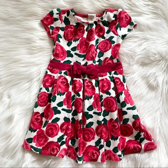 Gymboree Red Roses Dress
