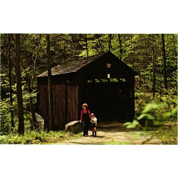 Pine Bank Covered Bridge Postcard Travel Souvenir Unposted Green County