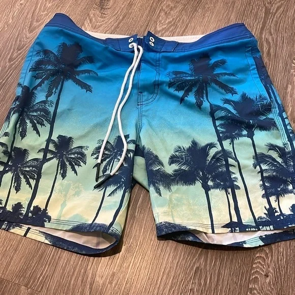 American Eagle Swim Trunks
