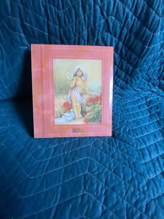 Special Expressions Vintage Pink Framed Photo Album