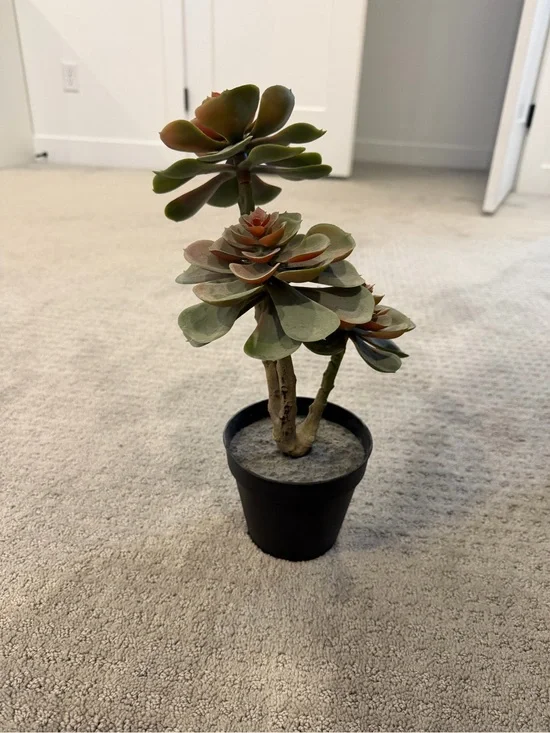 Artificial Succulent Plant