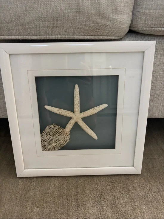 Framed Starfish Wall Art in White Frame 13 1/4” x 13 1/4”