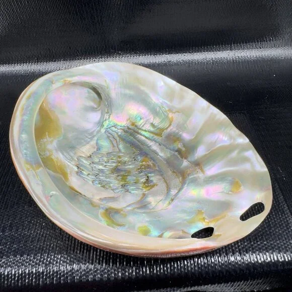 Natural Abalone Shell Large Dish Bowl Container Trinket Holder Iridescent Smooth