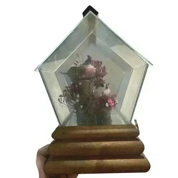 Mushroom Birds From Rare Mushrooms Music Box Vintage