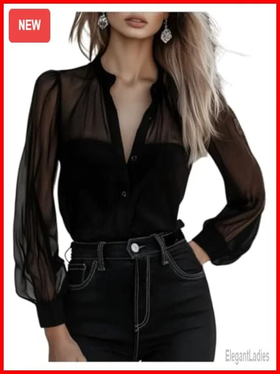 Sheer Button Up Blouse Mesh Long Sleeve Business Casual Work Top