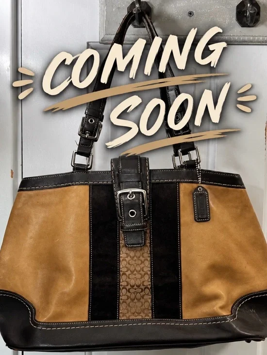 Y2K Vintage Coach Hampton Stripe Carryall Brwn/Tan/Blck Leather Suede Signature