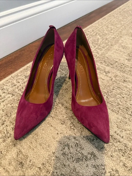 Coach Wine Suede Pointed-Toe Stiletto Pumps