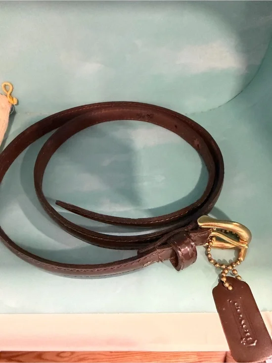Coach Dark Brown Leather Skinny Belt with Gold buckle