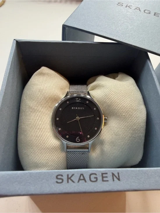 Skagen Women’s Anita Silver Mesh Watch with Black Dial (SKW2473)