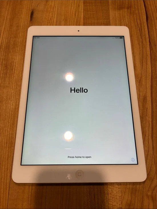 Apple iPad Air 32GB with Otter Box Defender Case
