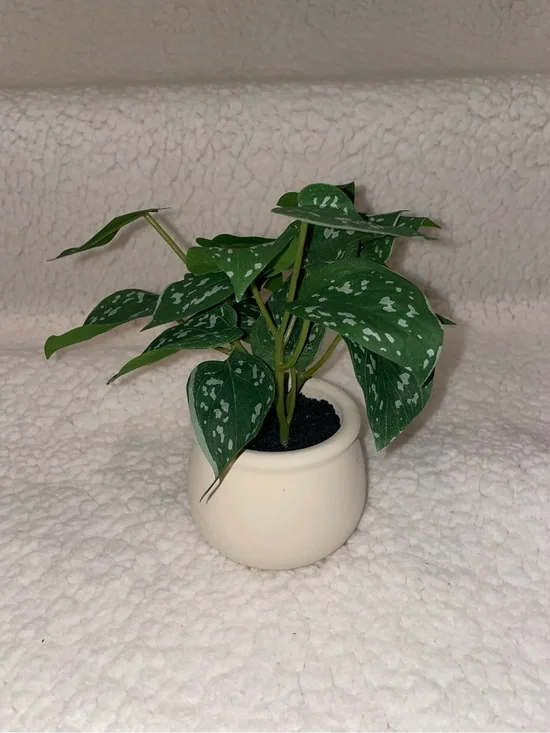 Target Faux Green Polka-Dot Potted Plant