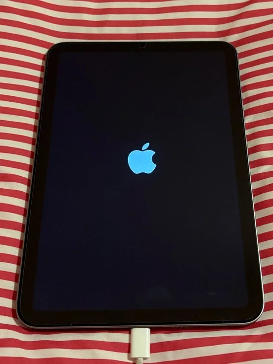 iPad mini (A17 Pro) — Excellent Condition — $400 OBO