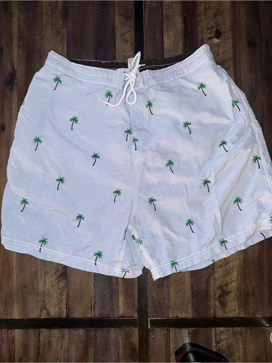 Daniel Cremieux Pale Blue Swim Shorts with Green Palm Embroidery