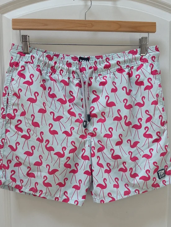 Tom & Teddy Men's Light Blue Swim Trunks with Pink Flamingo Print