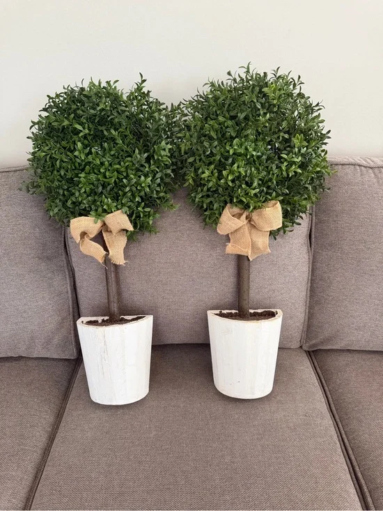 Pier 1 Green Boxwood Topiary Pair with White Pots and Burlap Bows Like New