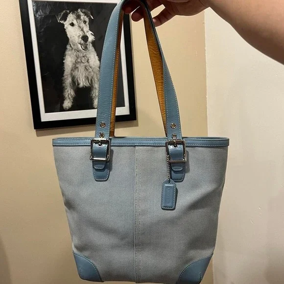 Y2K 2000s baby blue canvas / twill hampton tote shoulder bag / handbag