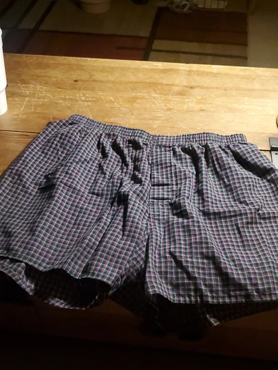 Men Plaid Elastic-Waist Shorts - Blue