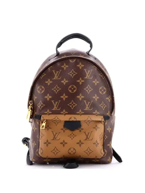 Louis Vuitton Palm Springs Backpack #294890L17B