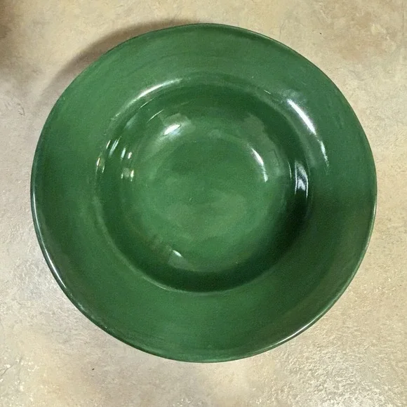 Pottery Barn SAUSALITO Green Wide Rimmed Bowl 10