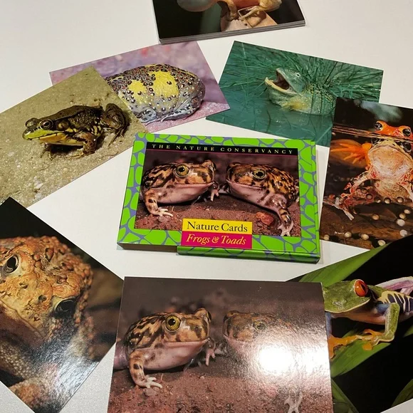 🌼Set of Frogs & Toads Nature Cards, Size 7x5