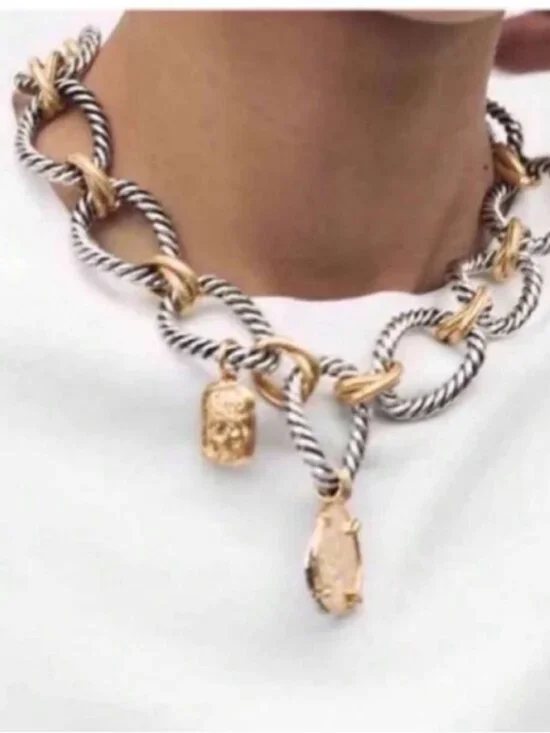 New! Mixed Metal Coin Charm Necklace (1059) NWOT