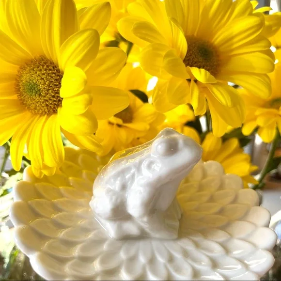 Jewelry/Trinket Dish•NWOT•Ceramic Frog on a Lilly Pad•Ivory•3.5” x 3.5” x 2”🌼