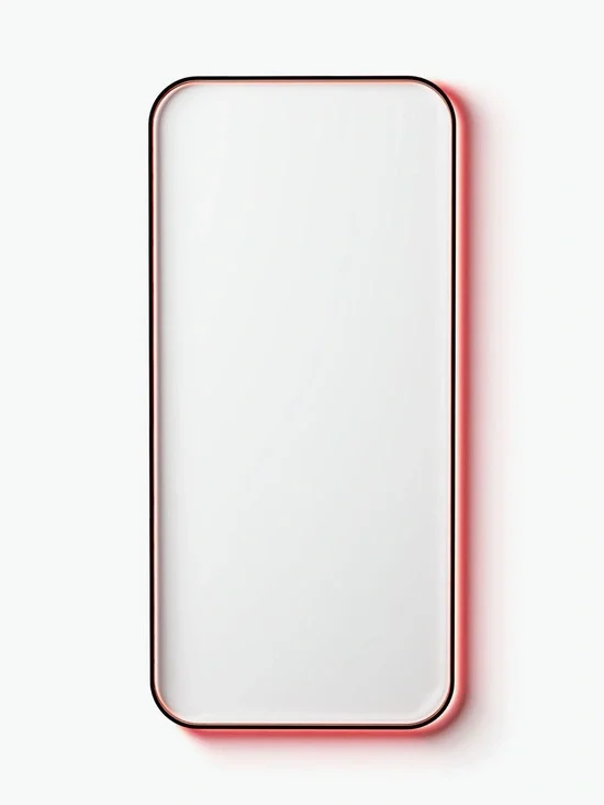 BodyGuardz Red Light Converter NIB