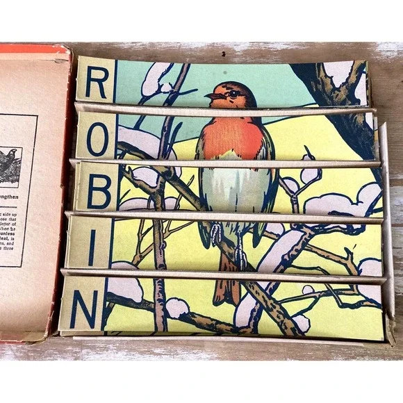 Vintage childrens game puzzle Sliced Birds Selchow & Righter 1930s 1940s robin