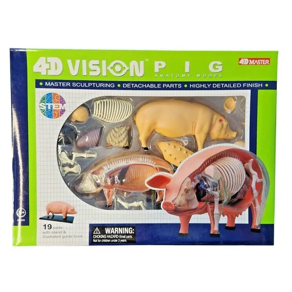 4D‎ Vision Pig Anatomy Model