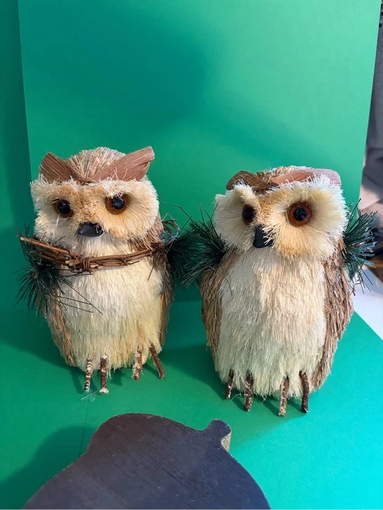 Decorative Natural Brown Owl Figurines - Set of 2