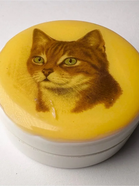 Vintage Orange Ginger Tabby Cat Head Portrait Trinket Pill Box Divider Organizer