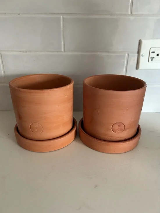 Set of 2 Terracotta Planters with Dish
