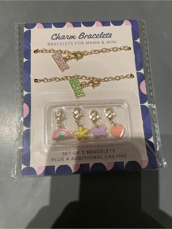 Charm Bracelets Set of 2 Bracelets Plus 4 Additional Charms New
